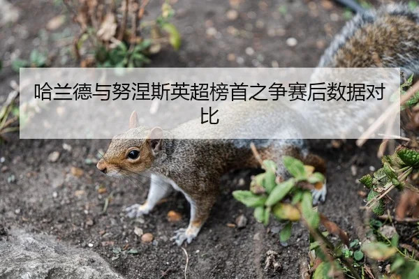 哈兰德与努涅斯英超榜首之争赛后数据对比（bandao）